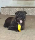 Caio 