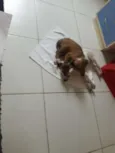Não tem ainda
