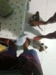 Não tem ainda