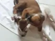 Não tem ainda