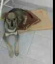 Duke