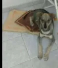 Duke