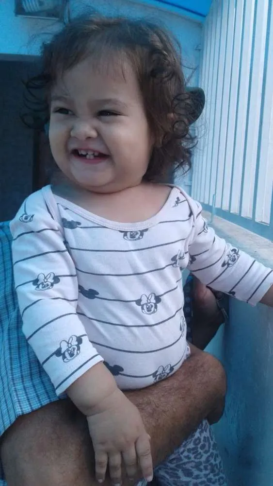 Cachorro ra a Pitbull com srd idade 1 ano nome Nick