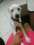 Nick
