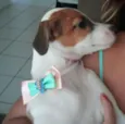 NINA
