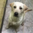 Spike