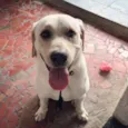 Spike