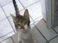 Gabriel