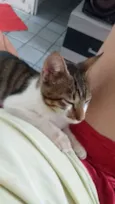 Gabriel