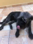 Lunna