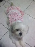 Princesa