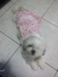 Princesa