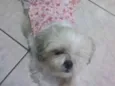 Princesa
