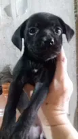 Sem nome