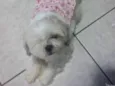 Princesa