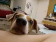 Bob