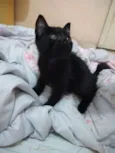 Frida
