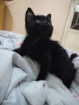 Frida