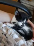 Leroy
