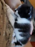 Leroy