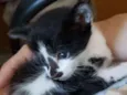 Leroy