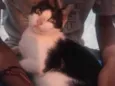 Não tem