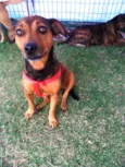Fiona