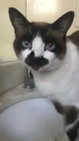Mia