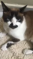 Mia