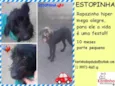 ESTOPINHA