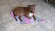 Maximus