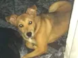 Luma