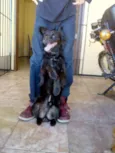 Tito