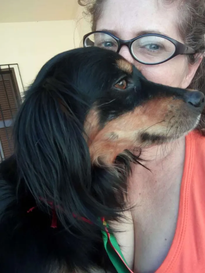 Cachorro ra a  idade 2 anos nome Filemom