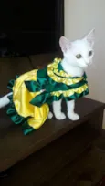LUPITA