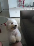 Lufi