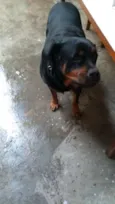 Preta