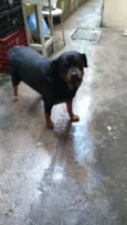 Preta