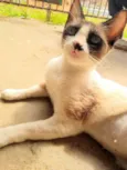 Linda