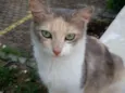 Bia