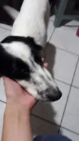 Pandora