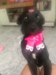 Lucy