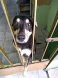 Lila