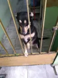 Lila