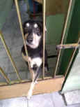 Lila