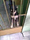 Lila