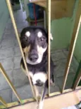 Lila