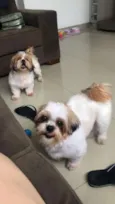 Julie e Ralph