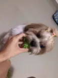 Julie e Ralph