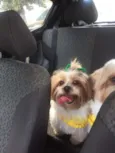 Julie e Ralph
